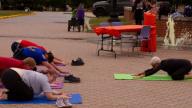 A group of people stretching on mats outside​