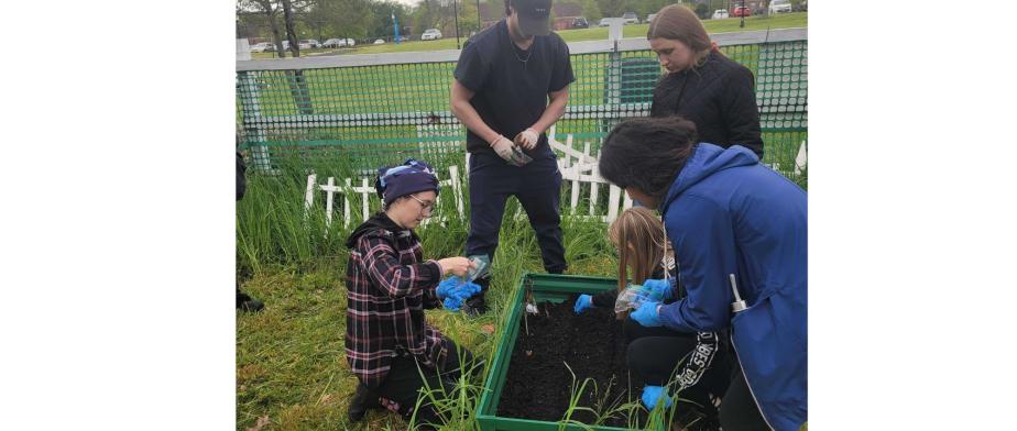 Lawn and Leaf Bag Distribution - Snug Harbor Cultural Center