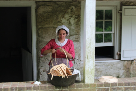 HistoryLeoneWomanBasketInsert