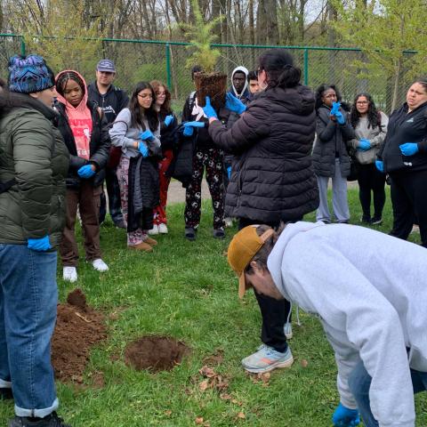 Students are learning the tree planting process