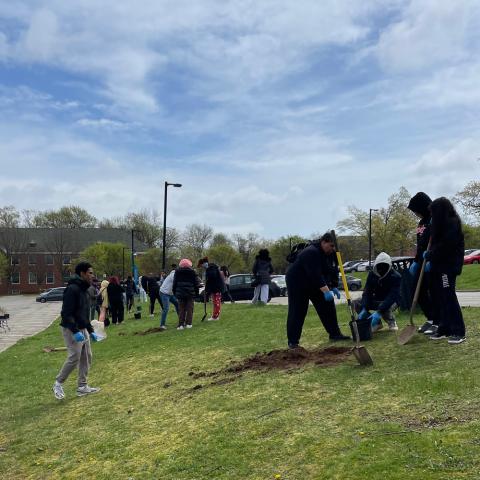 Students are planting trees on the parking median